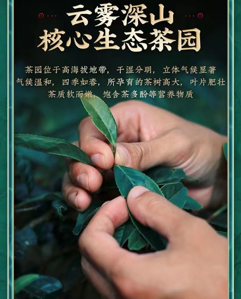 2023 new tea yunnan authentic ancient tree black tea 1000g gongfu tea fengqing honey flavor all yellow buds