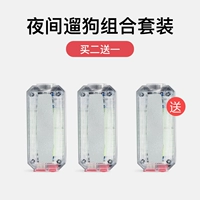 Комбинация собак установлена ​​ночью