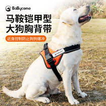 Babycomes Labrador dog traction rope vest type large dog large dog gold wool dog string De pasture