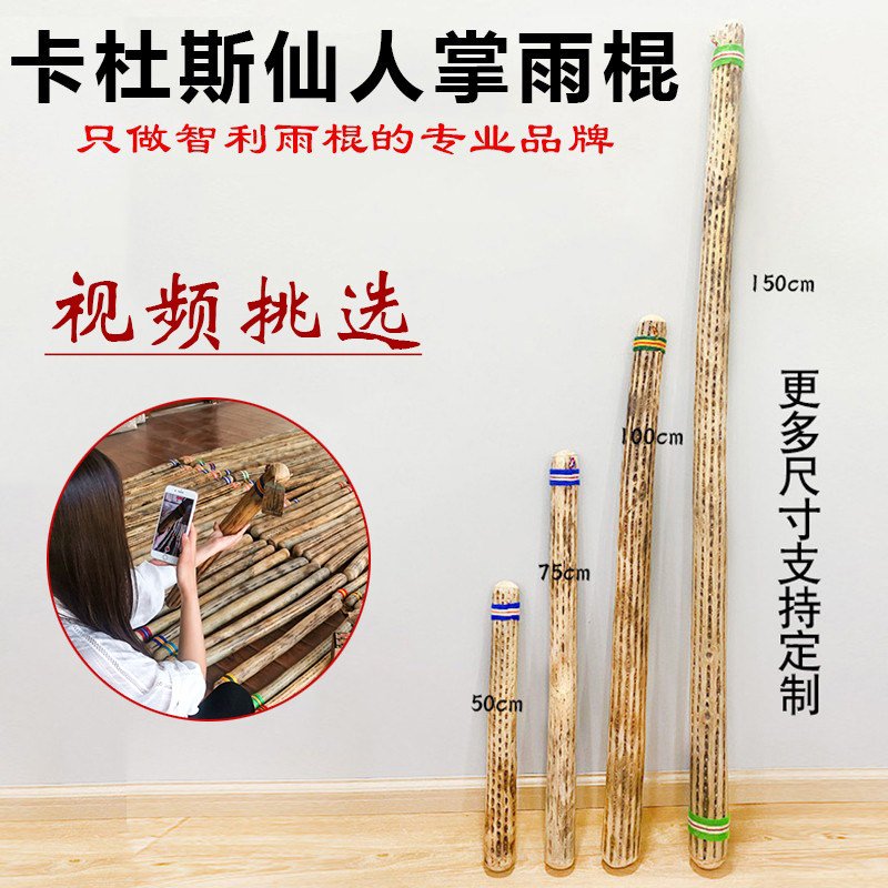 Cardos Rain Sticks Cactus Rain Stick Yoga South America Chile Waves Anthropical Instruments Rain Sound Instrumental Rain Sound Cylinder-Taobao