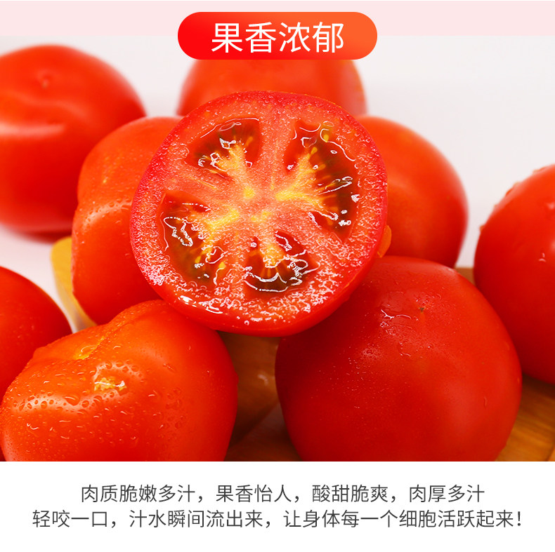 猫超次日达,奥运食材供应商:5斤 绿行者 红又红红番茄 史低19.9元包邮 值值值-买手聚集的地方