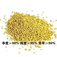 1 Catties of Chrysanthemum