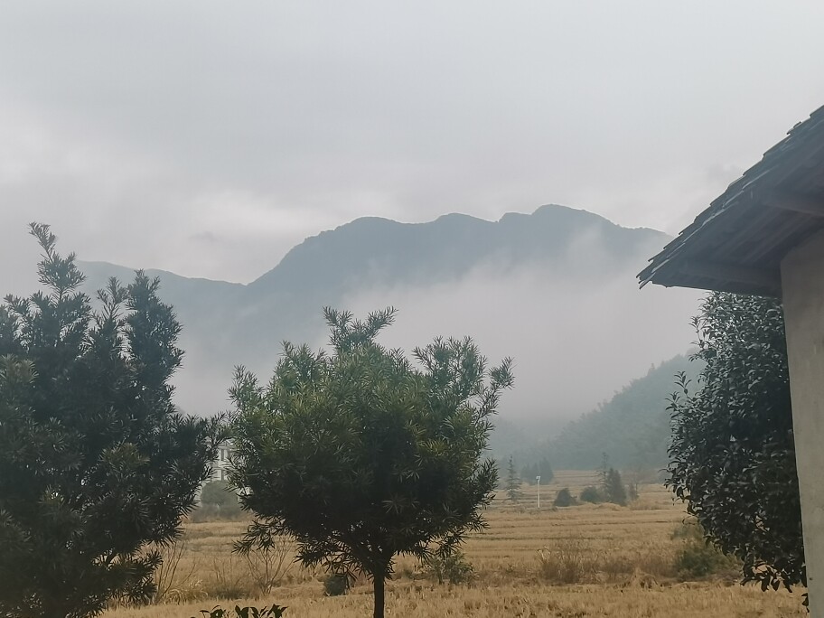 雨后初晴