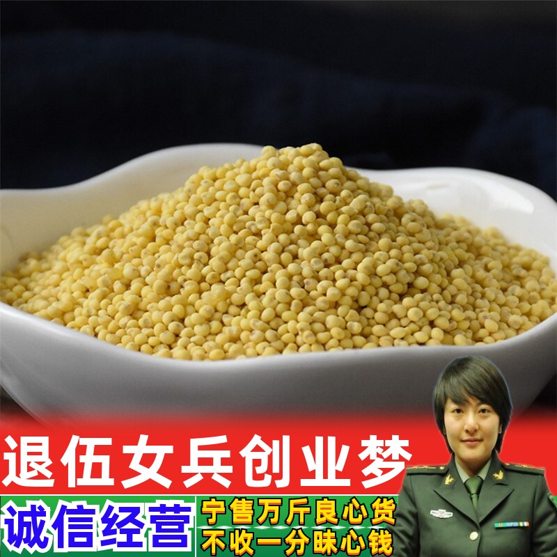 Sorghum Rice North Sorghum Rice Medicinal Herbs New Goods 500g Glutinous Millet Yellow Glutinous Glutinous Millet Chinese Herbal Medicine-Taobao