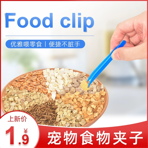 Домашние животные Pet Rabbit Hammel Totoro Bird Bird Forming Tool Plastic Play Slane