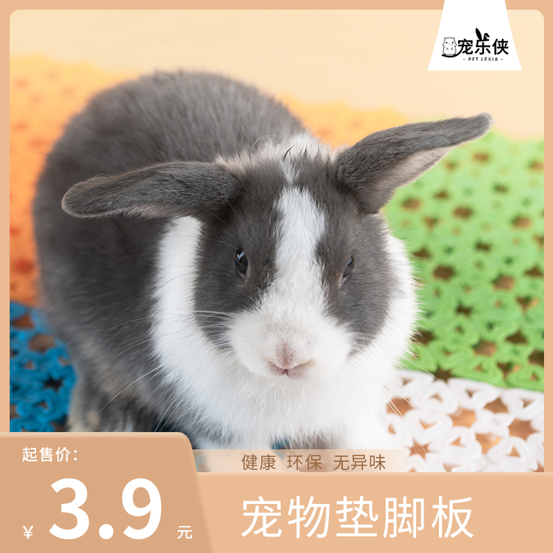 Pet foot board anti-bite pet rabbit cage pedal stitching foot pad guinea pig guinea pig chinchilla to prevent foot dermatitis