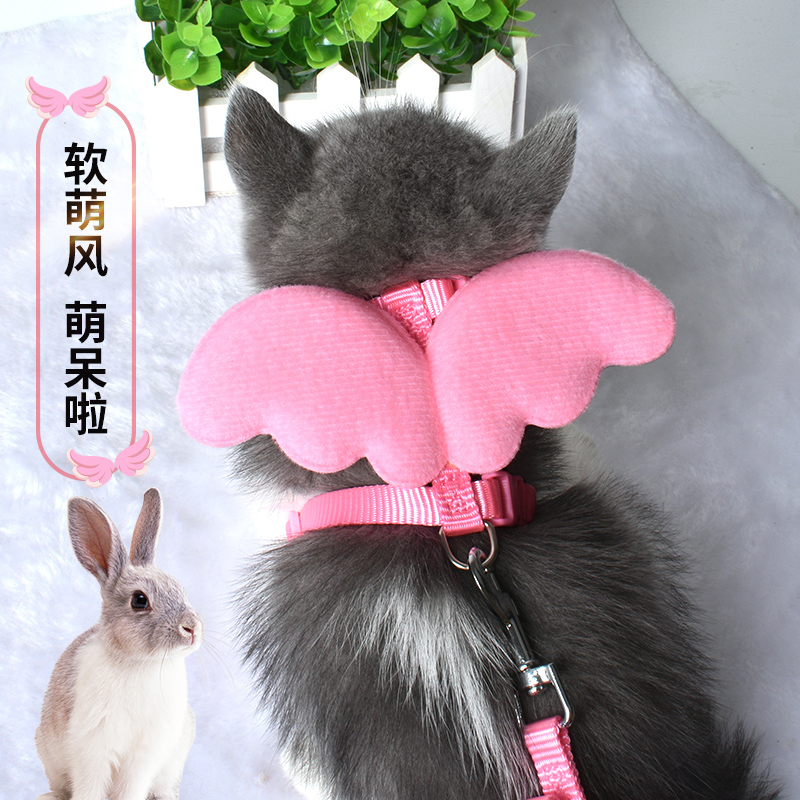 Rabbit traction rope anti-break and anti-bite walking rabbit rope dwarf rabbit joint rabbit traction rope rabbit supplies complete set