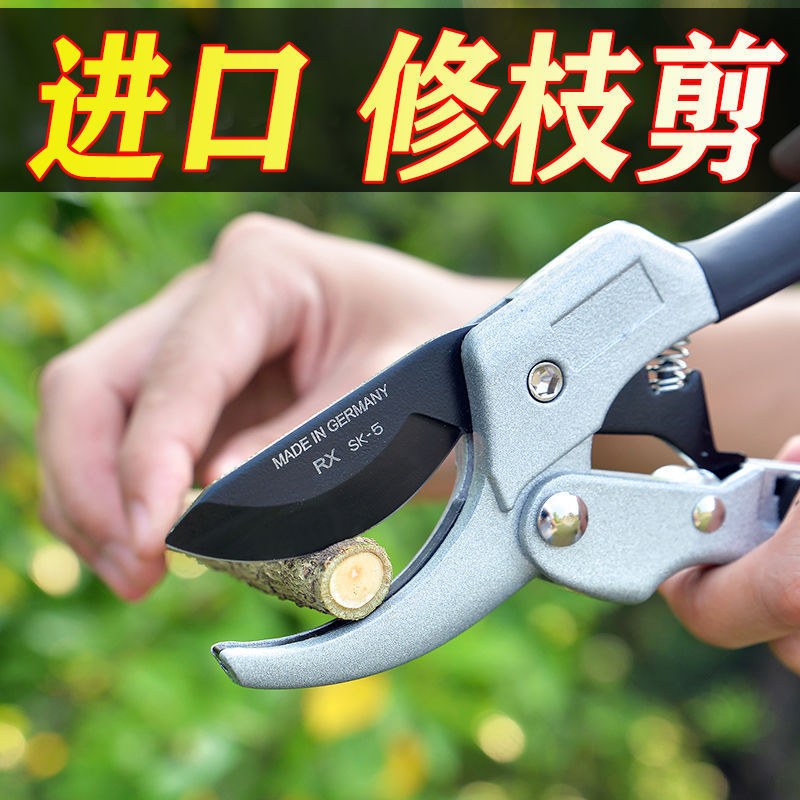 Branch scissors Gardening scissors Branch pruning scissors Flower scissors Garden labor-saving floral tools Fruit tree pruning coarse branch scissors