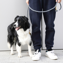 Pet pooch Item Circle Traction Rope Reinforced Hemp Rope Traction Rope Small To Medium Dog Genuine Leather Collar Can Hold Double Dog