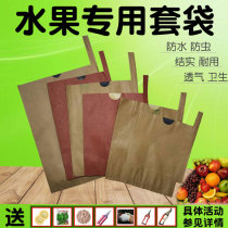 Green fruit forest loquat bag meloquat peach peach bag pear tree for fruit tree cold pear bag bag
