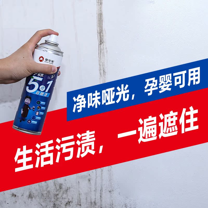 Tonic Wall Lacquered White Repair Interior Wall Self-Brushed Waterproof Emulsion Varnish Home Wall Repair Patch Wall Paste Refurbished Spray Paint Tank