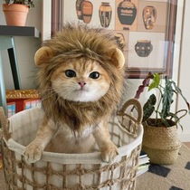 Cat cross-dressing lion headgear pet funny headdress orange cat gold gradient funny hat kitten winter warm hat