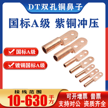 Twin - hole copper nose DTS - 25 35 50 70 95 120 copper wire nose terminal terminal block double eyewire ear standard