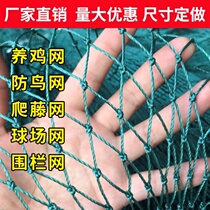 Chicken net fence chicken net Poultry breeding net Pheasant net Nylon net Bird-proof net Fence net grid net climbing rattan net