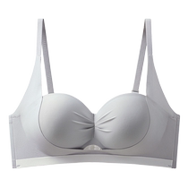 Catman lift bra for women with small breasts to show their size hold up secondary breasts and prevent sagging 2024 new sexy beautiful back bra