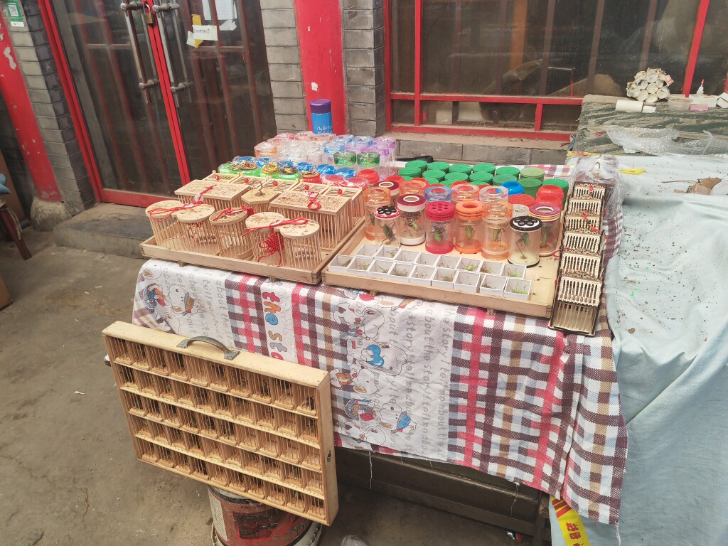 京城鸣虫馆