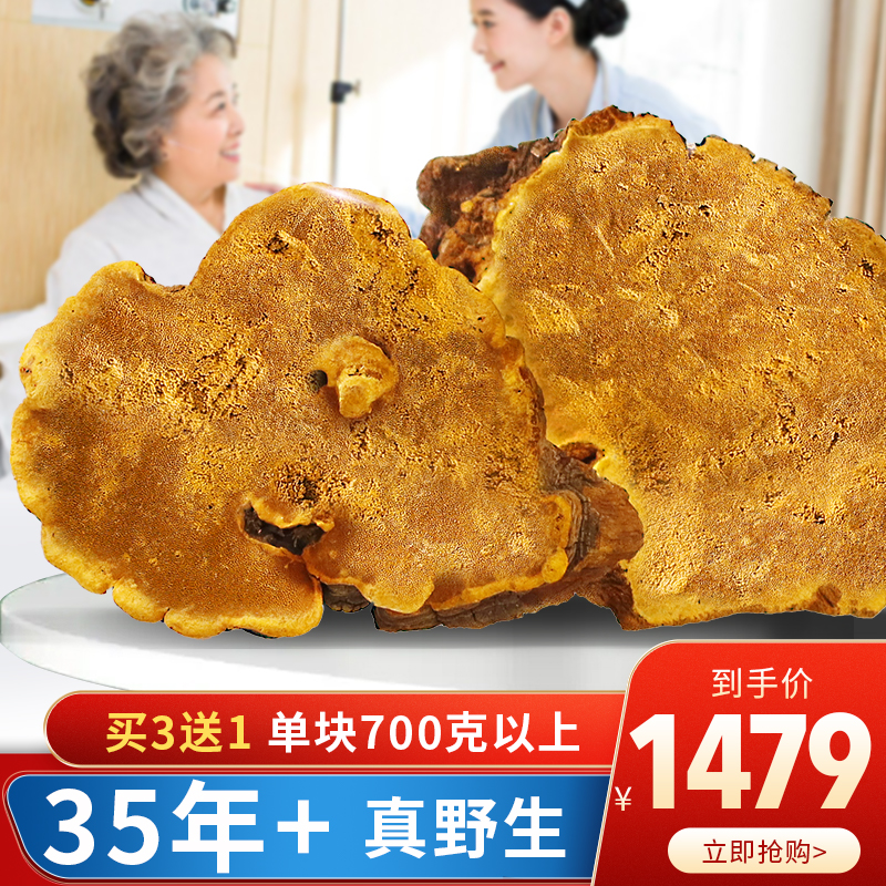 (35 years wild) Tibetan authentic wild mulberry mulberry yellow special grade 700 grams a large piece of mulberry mulberry yellow