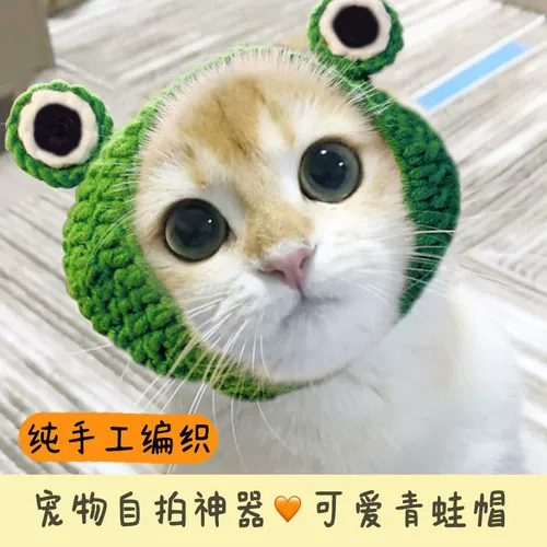 Кот кролик год