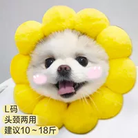 Солнечный цветок код