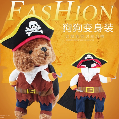 Смешные пираты превращаются в вертикальные собаки и одежду для домашних животных Тедди Бибельбайгер Шиба Ину Корги маленькая собака