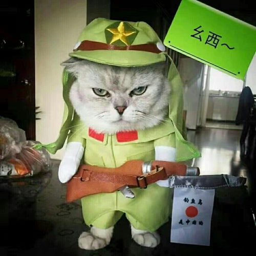 Лето Batga Pets Pets Murd