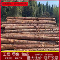 Pine piles fir piles piling wood larch greening support poles garden landscape trees