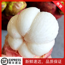 Thailand 6A mangosteen 5 pounds fresh fruit seasonal mangosteen tropical pregnant women and children oil hemp big three bamboo SF