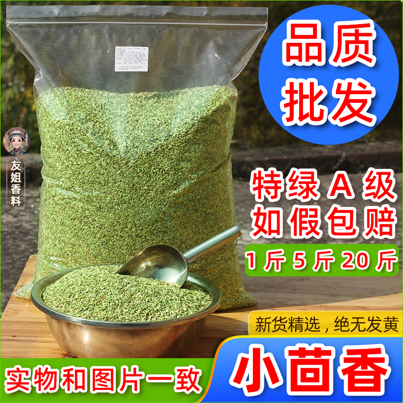 Authentic Gansu Fennel Spice Commercial Wholesale Granulated Seeds Premium Edible Fresh Seasoning Powder Small Fennel Seeds