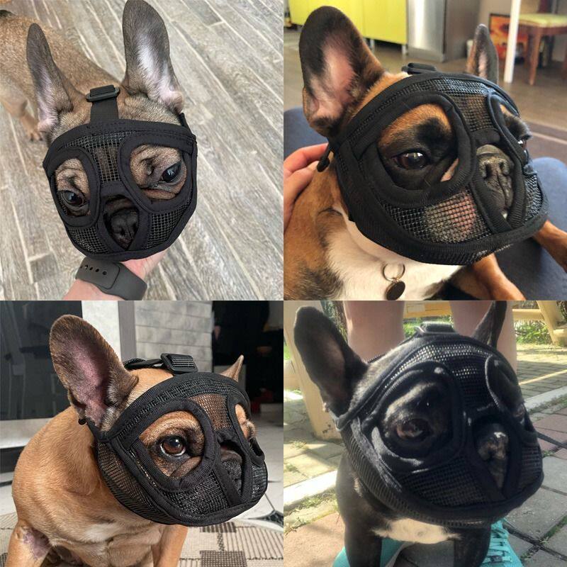 Bago dog mouth jacket French fighting special mask bites anti-bite and anti-eating puppy mask short hairy pet supplies-Taobao