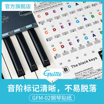 Guitto piano stickers 88 keys transparent 61 keys 54 keyboard keyboard phonetic stickers Note five-line notation for beginners