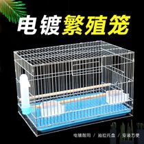 Medium and large budgie bird cage electroplated peony Xuanfeng starling enlarged breeding and thick metal breeding bird cage