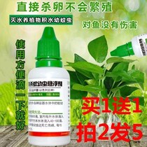 Kill larvae mosquitoes eggs fish tanks mosquitoes killing young mosquitoes larvae water killing mosquitoes larvae water