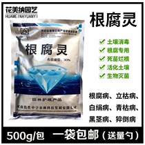 Root rotten soil medicine plant universal fleshy flower potted white silk wilt black rot root rot root rot