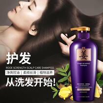 kj Hanchan Ginger Oil Control Hair Care Shampoo Ginger Scalp Shampoo Refreshing Shampoo Factory Unisex