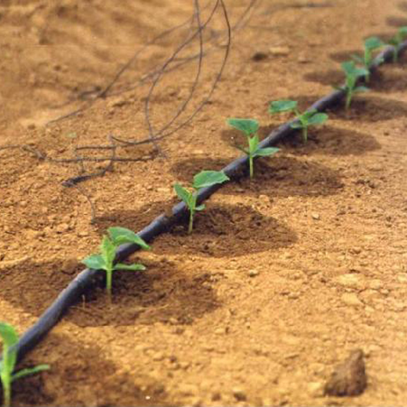 Hiroto Morning (HC) Membrane Lower Drip Irrigation Tube 16mm Ininlaid Patch Drip Irrigation With Tube Vegetable Fruit Greenhouse Self 