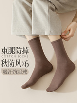 Socks womens mid-calf socks spring and autumn pure cotton pile socks autumn and winter high-waist internet celebrity loafers brown stockings Zhuji