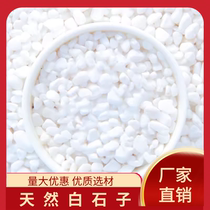 Guizhou Baishizi White Stone White Gravel Pavement Polished White Jade White Pebbles