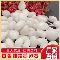 Chongqing white cobblestone paving small stone garden flower pot paving stone courtyard white stone paving landscaping white stone