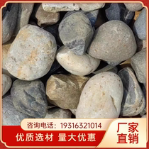 Shaanxi a large number of paving river pebbles power station transformer stone river pebble garden landscaping natural stone