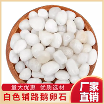 Shaanxi white pebbles courtyard paving garden balcony decoration landscaping white stone rain flower stone paving