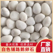 Hunan white pebbles landscaping Yuhua stone courtyard paving natural white pebbles raw stone balcony garden