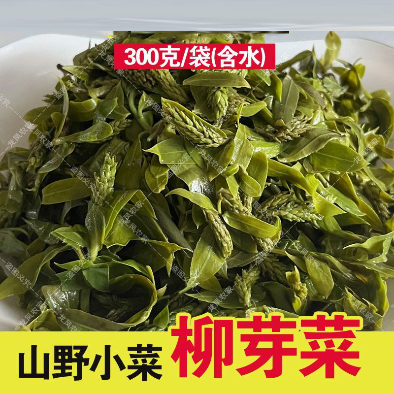 Clear Water Willow Buds, Fresh Willow Buds, Tender Buds, Willow Buds, Tea, Willow Tree Buds, Willow Flower, Tender Willow Buds, Pointed Wild Vegetables