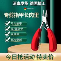 Hawk hook clamp clamp of eagle - mouth clamp - clamp - armor - knife dead skin