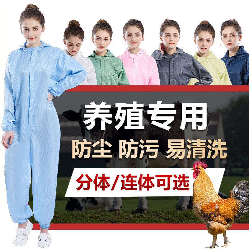 养殖场工作服夏季防护服连体全身防尘防臭女专用连帽喷漆服可水洗