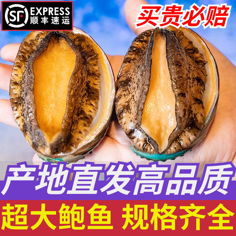 Abalone liquid nitrogen frozen extra-large 8 head abalone pure meat small abalone fish for juicy rice commercial wholesale seafood Aqua-Taobao