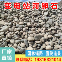 Zhejiang Engineering Substation Filters River Pebbles Multi-Specification Pebbles Raw Stone Courtyard Park Paving Landscaping