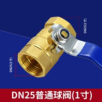 DN25 Обычный (1 -дюймовый) стальный шарик