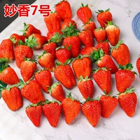 Miaoxiang № 7 Капсулы Strawberry 500+Pot+почва+удобрения (купить 2