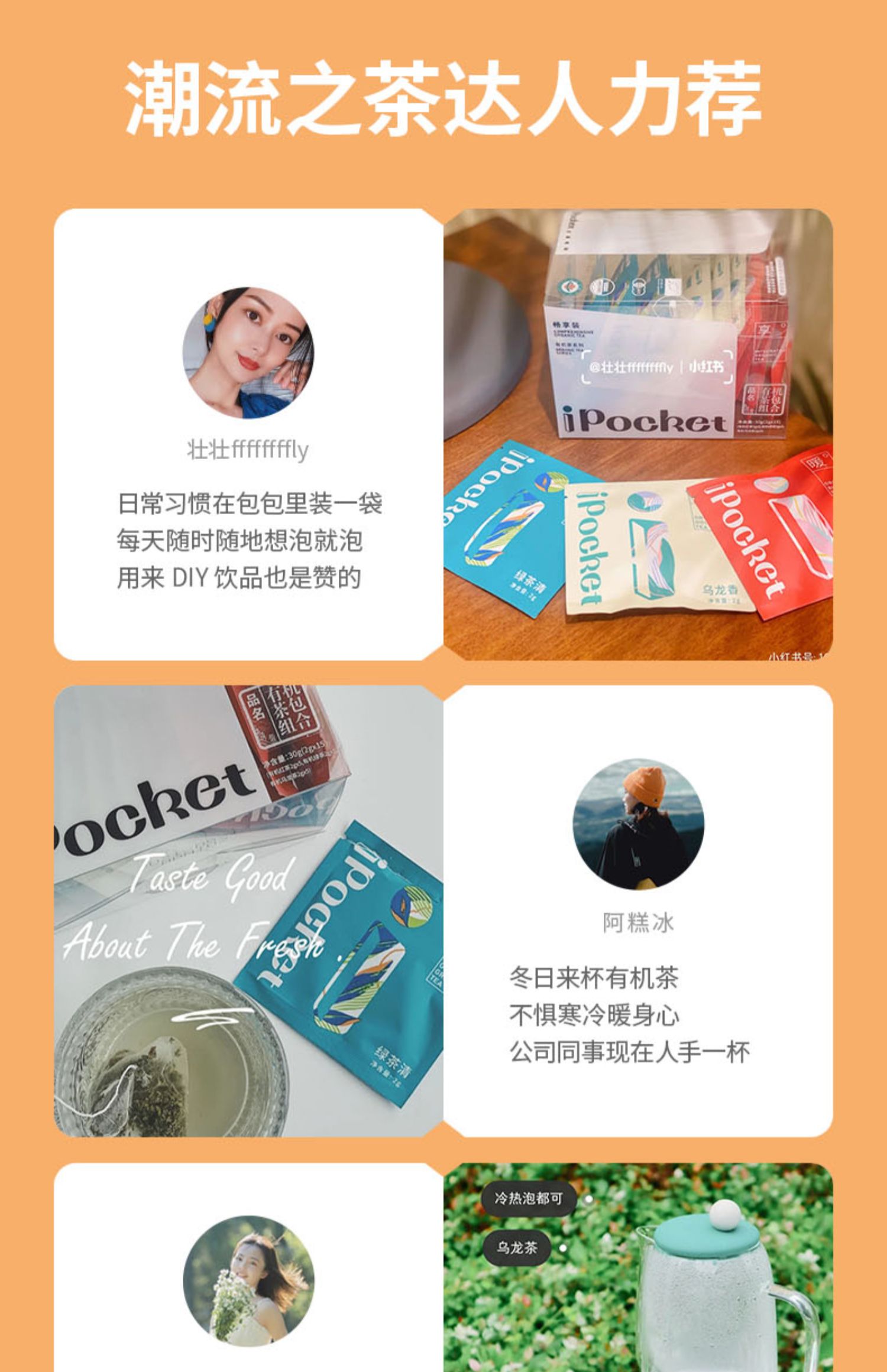 iPocket爱泡可有机茶广东早茶绿茶绿茶红茶