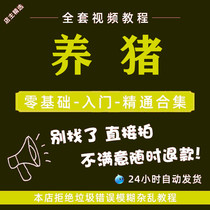 High Efficiency Pig Technology Swine Disease Treatment And Control Tutorial Pig Farm Disinfection